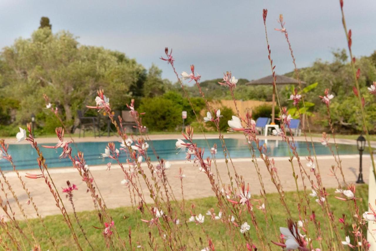 Villa Adonis Halikounas 外观 照片